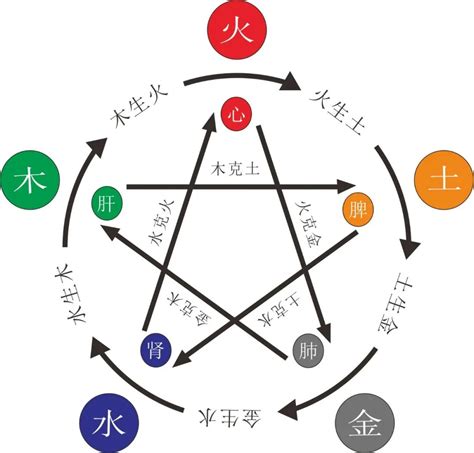 缺木火|命中五行缺木的人怎么办 八字五行缺木怎么补